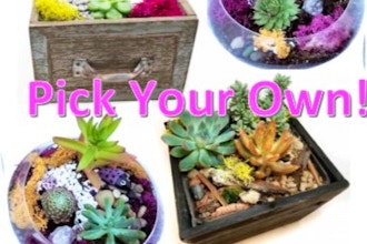 Plant Nite: Pick Your Own Wooden or Glass Planter